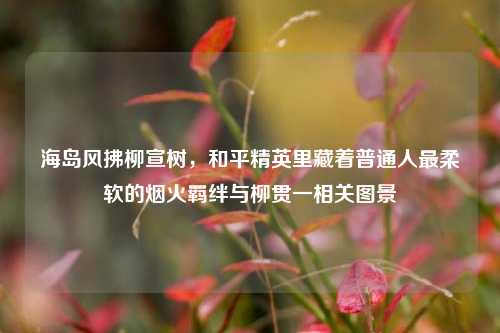 海岛风拂柳宣树,和平精英里藏着普通人最柔软的烟火羁绊与柳贯一相关图景
