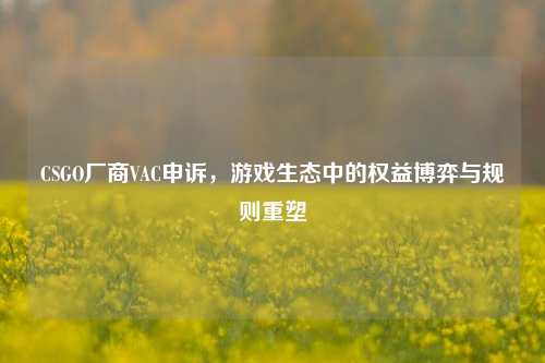 CSGO厂商VAC申诉,游戏生态中的权益博弈与规则重塑