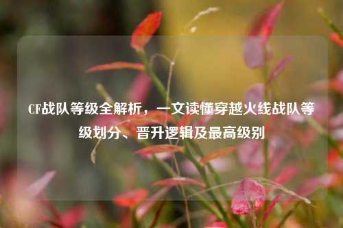 CF战队等级全解析,一文读懂穿越火线战队等级划分、晋升逻辑及最高级别