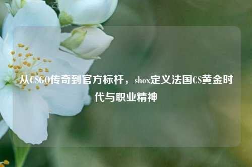 从CSGO传奇到官方标杆,shox定义法国CS黄金时代与职业精神