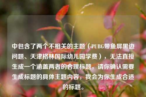 中包含了两个不相关的主题(PUBG带鱼屏黑边问题、天津格林国际幼儿园学费),无法直接生成一个涵盖两者的合理标题,请你确认需要生成标题的具体主题内容,我会为你生成合适的标题。