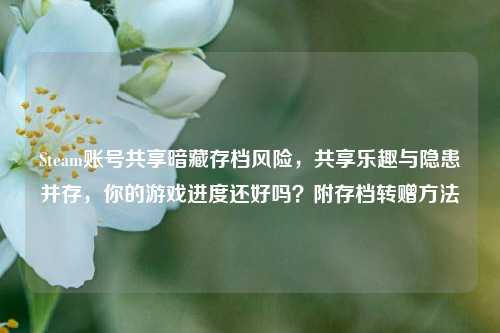 Steam账号共享暗藏存档风险,共享乐趣与隐患并存,你的游戏进度还好吗?附存档转赠方法