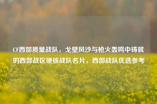 CF西部质量战队，戈壁风沙与枪火轰鸣中铸就的西部战区硬核战队名片，西部战队优选参考