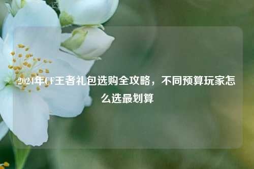 2024年CF王者礼包选购全攻略,不同预算玩家怎么选最划算