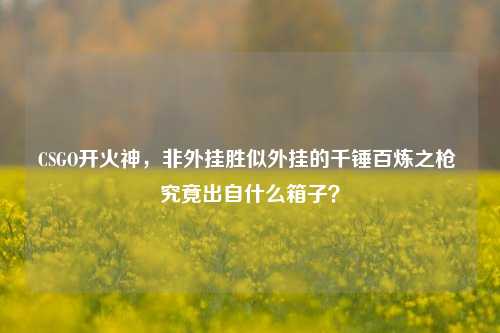 CSGO开火神,非外挂胜似外挂的千锤百炼之枪 究竟出自什么箱子?