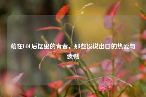 藏在LOL后摆里的青春,那些没说出口的热爱与遗憾