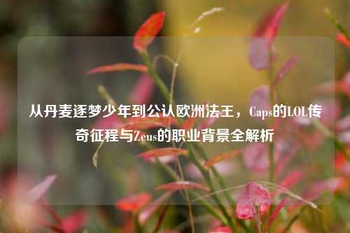 从丹麦逐梦少年到公认欧洲法王,Caps的LOL传奇征程与Zeus的职业背景全解析