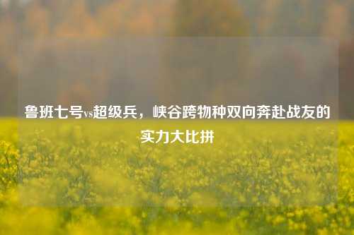 鲁班七号vs超级兵,峡谷跨物种双向奔赴战友的实力大比拼