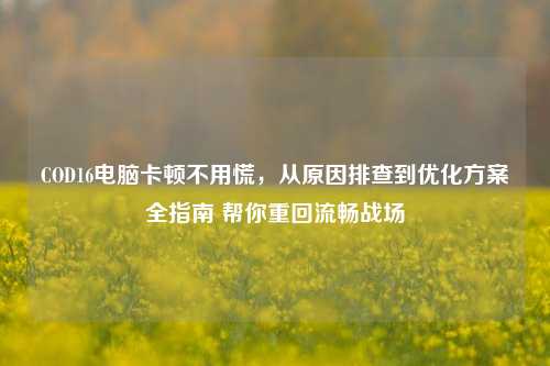 COD16电脑卡顿不用慌，从原因排查到优化方案全指南 帮你重回流畅战场