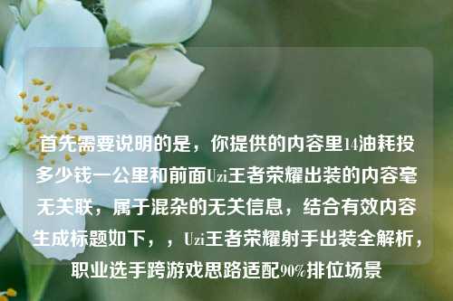 首先需要说明的是,你提供的内容里14油耗投多少钱一公里和前面Uzi王者荣耀出装的内容毫无关联,属于混杂的无关信息,结合有效内容生成标题如下,,Uzi王者荣耀射手出装全解析,职业选手跨游戏思路适配90%排位场景