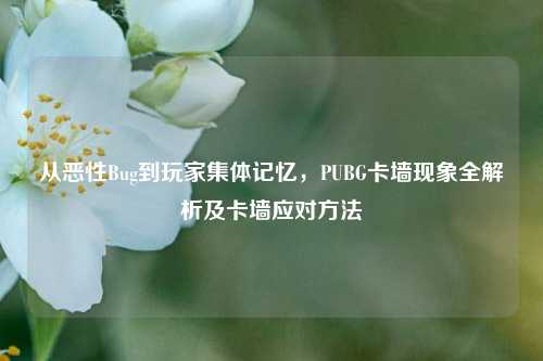 从恶性Bug到玩家集体记忆，PUBG卡墙现象全解析及卡墙应对方法