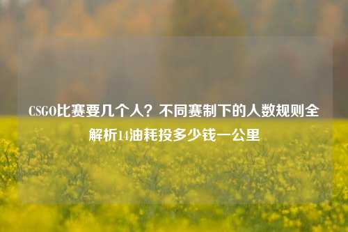 CSGO比赛要几个人?不同赛制下的人数规则全解析14油耗投多少钱一公里