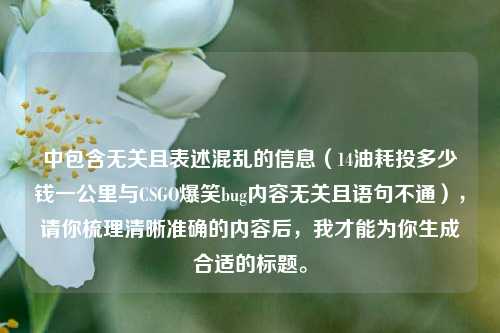 中包含无关且表述混乱的信息（14油耗投多少钱一公里与CSGO爆笑bug内容无关且语句不通），请你梳理清晰准确的内容后，我才能为你生成合适的标题。