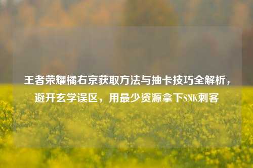 王者荣耀橘右京获取方法与抽卡技巧全解析,避开玄学误区,用最少资源拿下SNK刺客