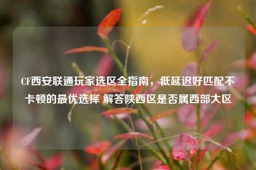 CF西安联通玩家选区全指南,低延迟好匹配不卡顿的最优选择 解答陕西区是否属西部大区