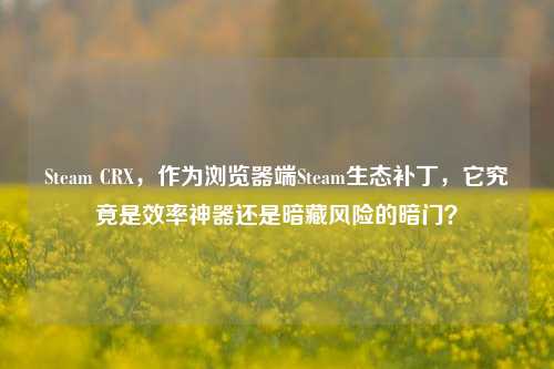 Steam CRX，作为浏览器端Steam生态补丁，它究竟是效率神器还是暗藏风险的暗门？