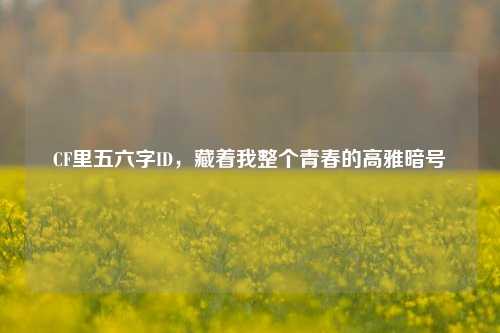 CF里五六字ID，藏着我整个青春的高雅暗号
