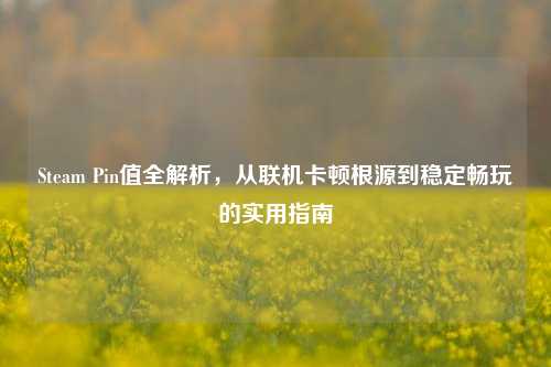 Steam Pin值全解析,从联机卡顿根源到稳定畅玩的实用指南