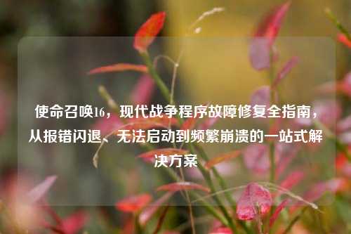 使命召唤16,现代战争程序故障修复全指南,从报错闪退、无法启动到频繁崩溃的一站式解决方案