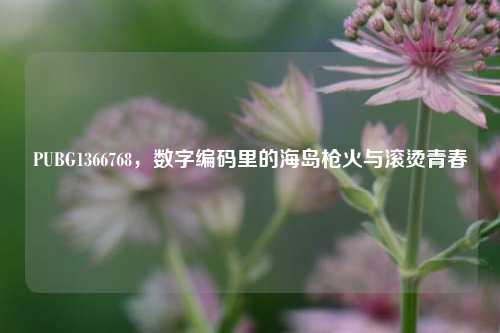 PUBG1366768，数字编码里的海岛枪火与滚烫青春