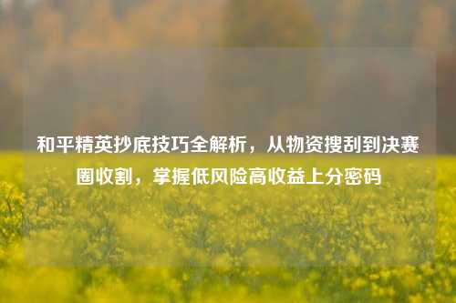 和平精英抄底技巧全解析,从物资搜刮到决赛圈收割,掌握低风险高收益上分密码