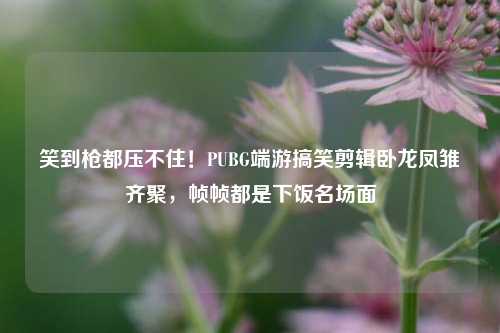 笑到枪都压不住!PUBG端游搞笑剪辑卧龙凤雏齐聚,帧帧都是下饭名场面