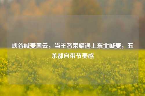 峡谷喊麦风云,当王者荣耀遇上东北喊麦,五杀都自带节奏感