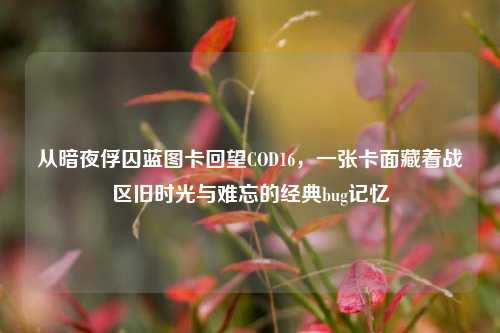 从暗夜俘囚蓝图卡回望COD16，一张卡面藏着战区旧时光与难忘的经典bug记忆
