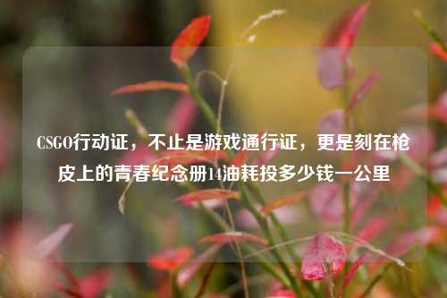 CSGO行动证，不止是游戏通行证，更是刻在枪皮上的青春纪念册14油耗投多少钱一公里