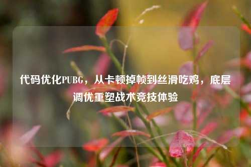 代码优化PUBG,从卡顿掉帧到丝滑吃鸡,底层调优重塑战术竞技体验