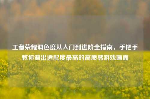 王者荣耀调色度从入门到进阶全指南,手把手教你调出适配度最高的高质感游戏画面