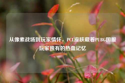 从像素战场到玩家情怀,PCL皮肤藏着PUBG国服玩家独有的热血记忆