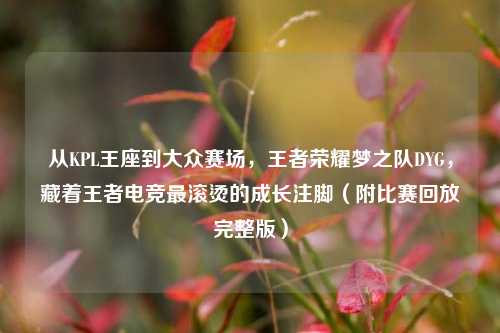 从KPL王座到大众赛场,王者荣耀梦之队DYG,藏着王者电竞最滚烫的成长注脚(附比赛回放完整版)