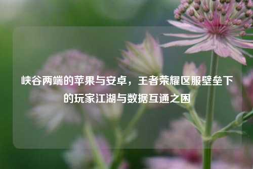 峡谷两端的苹果与安卓，王者荣耀区服壁垒下的玩家江湖与数据互通之困