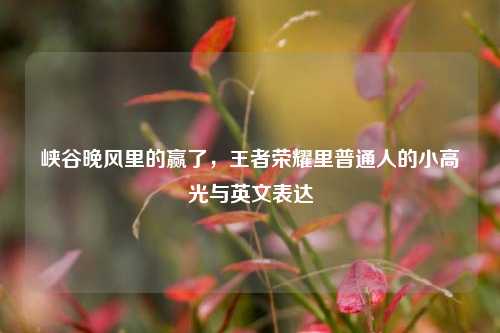 峡谷晚风里的赢了,王者荣耀里普通人的小高光与英文表达
