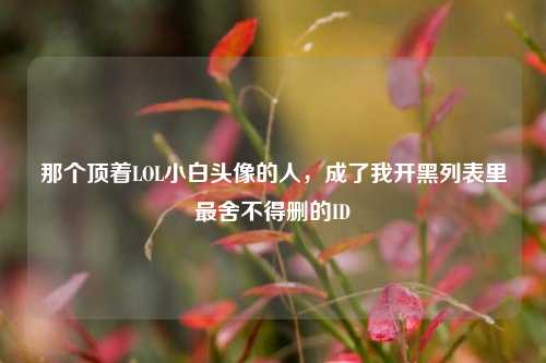 那个顶着LOL小白头像的人,成了我开黑列表里最舍不得删的ID
