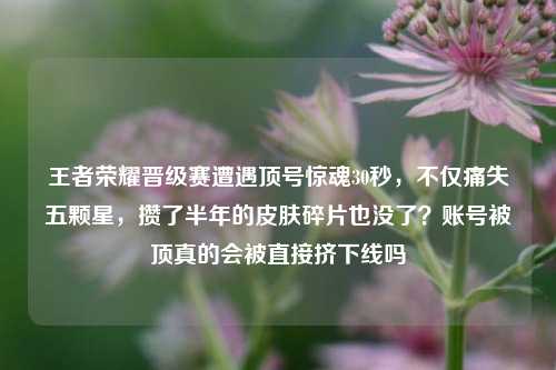 王者荣耀晋级赛遭遇顶号惊魂30秒,不仅痛失五颗星,攒了半年的皮肤碎片也没了?账号被顶真的会被直接挤下线吗