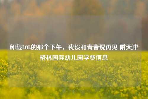 卸载LOL的那个下午,我没和青春说再见 附天津格林国际幼儿园学费信息