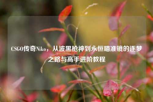 CSGO传奇Niko，从波黑枪神到永恒瞄准镜的逐梦之路与高手进阶教程