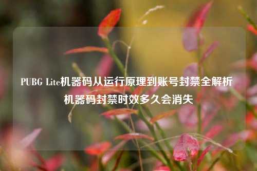 PUBG Lite机器码从运行原理到账号封禁全解析 机器码封禁时效多久会消失