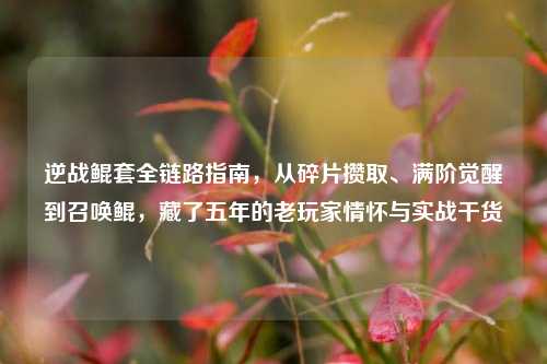 逆战鲲套全链路指南，从碎片攒取、满阶觉醒到召唤鲲，藏了五年的老玩家情怀与实战干货