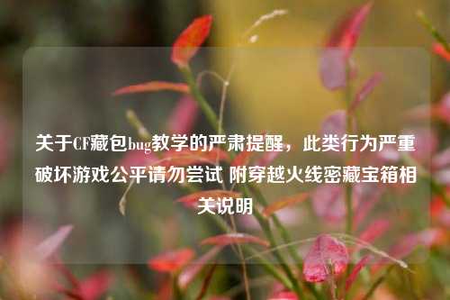 关于CF藏包bug教学的严肃提醒,此类行为严重破坏游戏公平请勿尝试 附穿越火线密藏宝箱相关说明