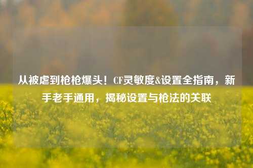从被虐到枪枪爆头!CF灵敏度&设置全指南,新手老手通用,揭秘设置与枪法的关联