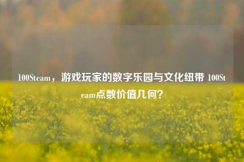 100Steam,游戏玩家的数字乐园与文化纽带 100Steam点数价值几何?
