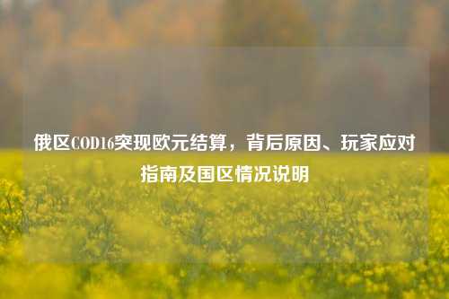 俄区COD16突现欧元结算,背后原因、玩家应对指南及国区情况说明