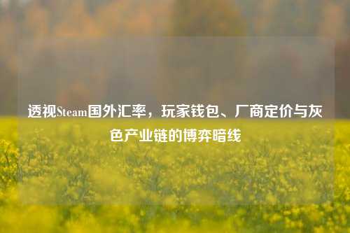 透视Steam国外汇率,玩家钱包、厂商定价与灰色产业链的博弈暗线