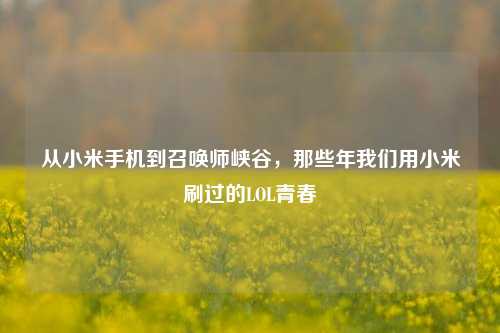 从小米手机到召唤师峡谷，那些年我们用小米刷过的LOL青春