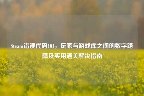 Steam错误代码101,玩家与游戏库之间的数字路障及实用通关解决指南