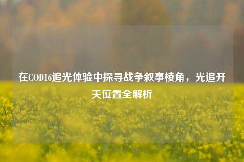 在COD16追光体验中探寻战争叙事棱角，光追开关位置全解析