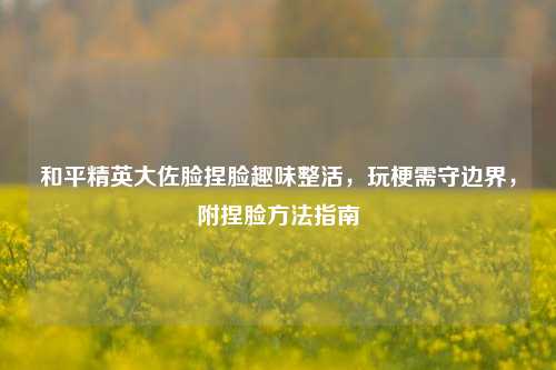 和平精英大佐脸捏脸趣味整活,玩梗需守边界,附捏脸方法指南